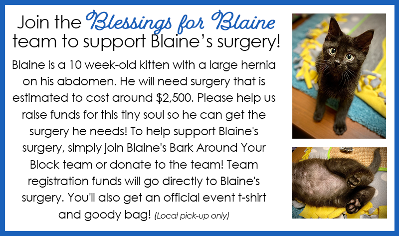 Blaine team page.png